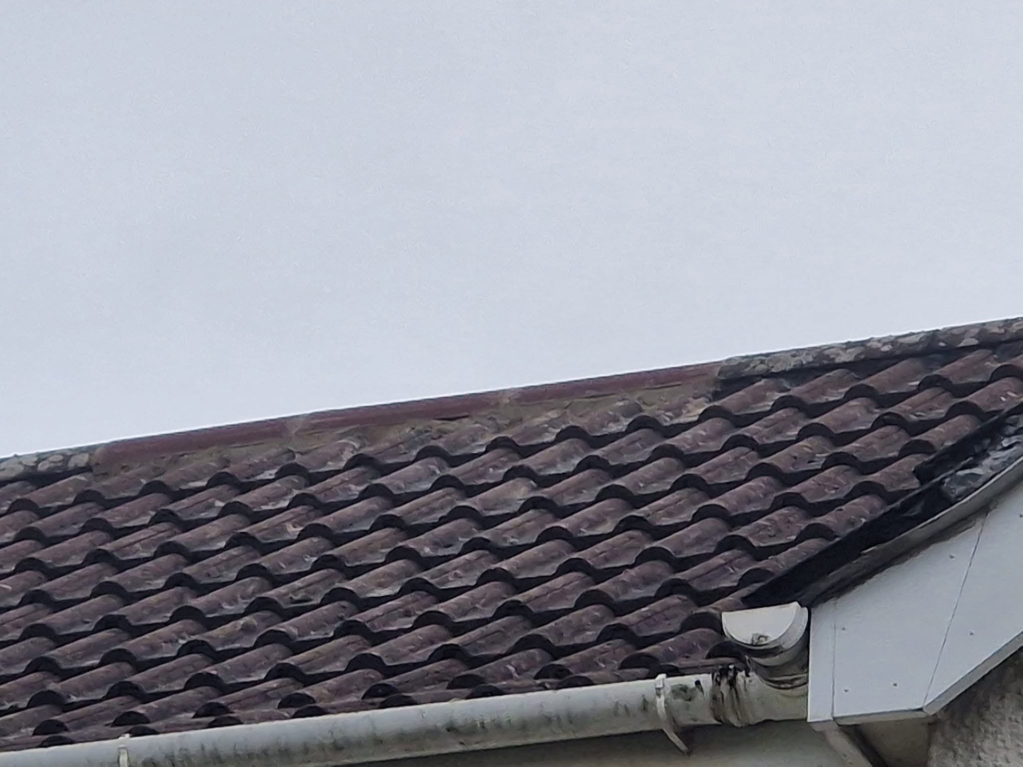 Roof repairs project
