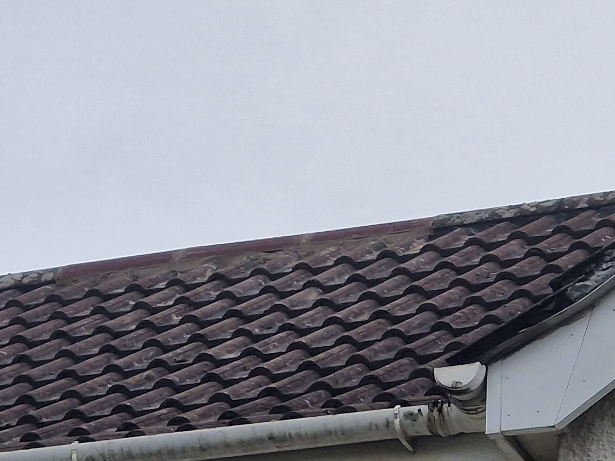 Project 2 Roof Repairs